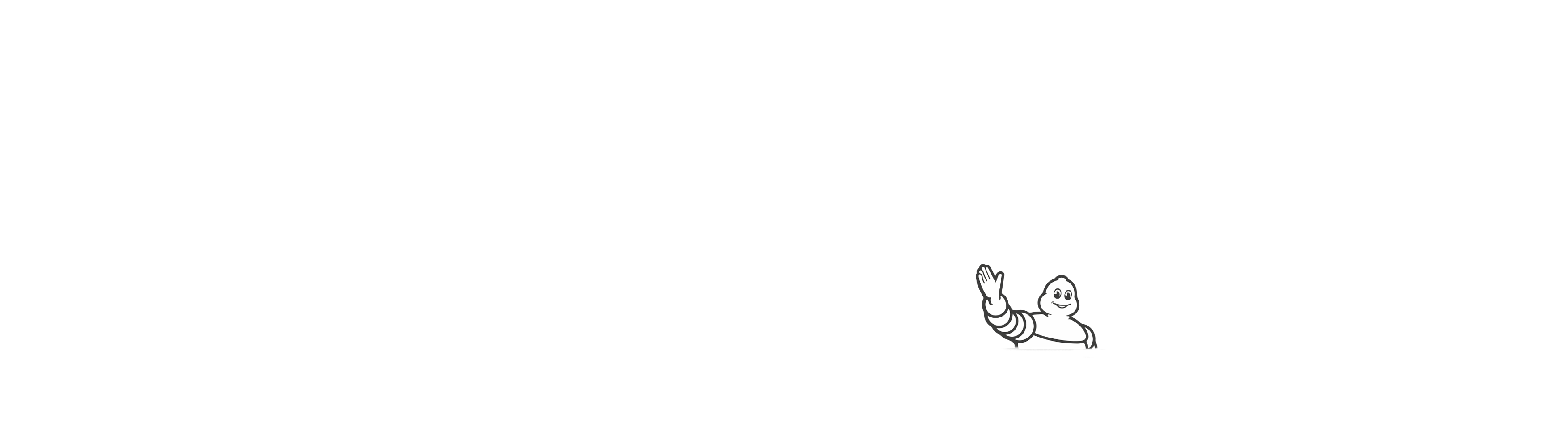 Logo de la empresa